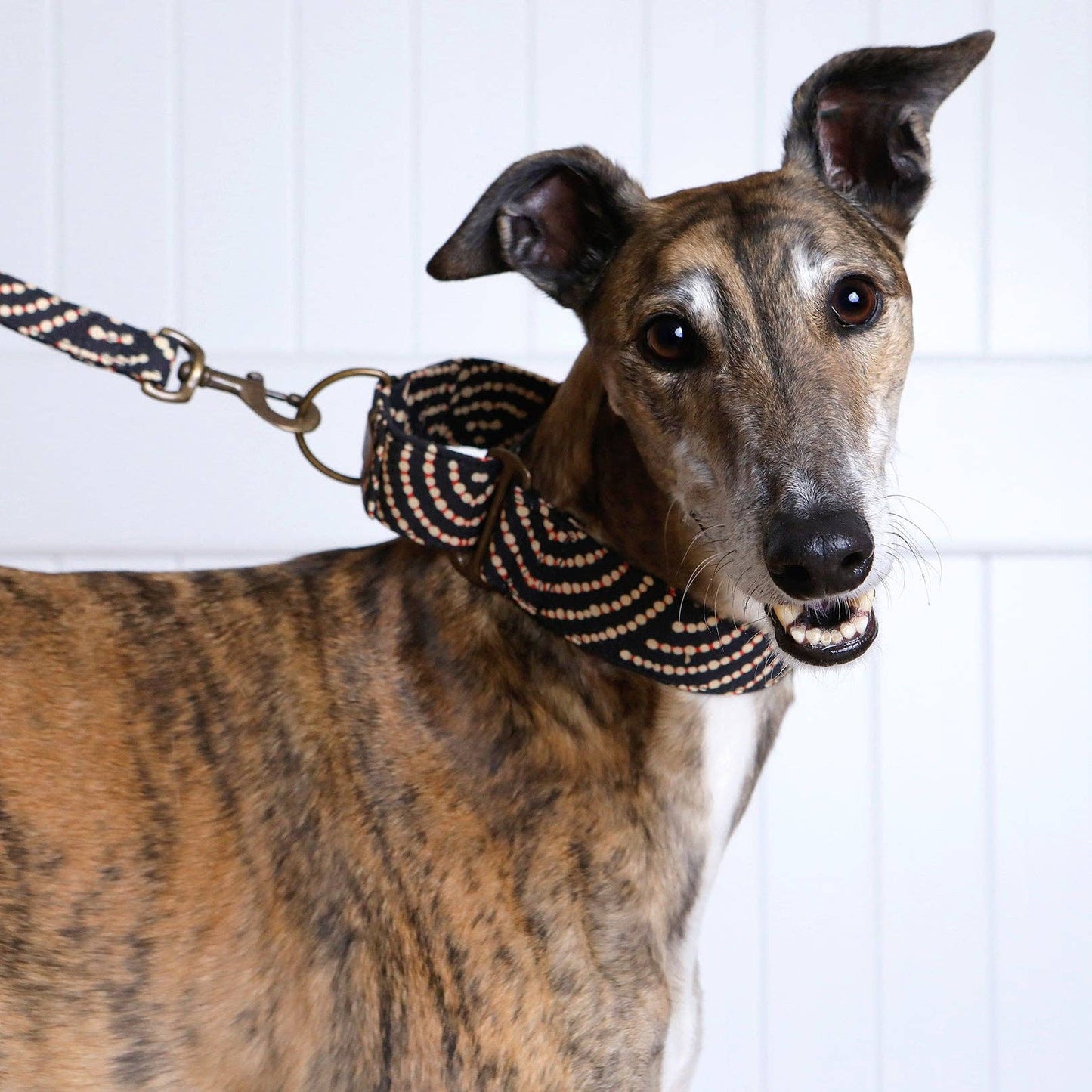 Martingale Collar - Ngama: Large (Greyhounds)