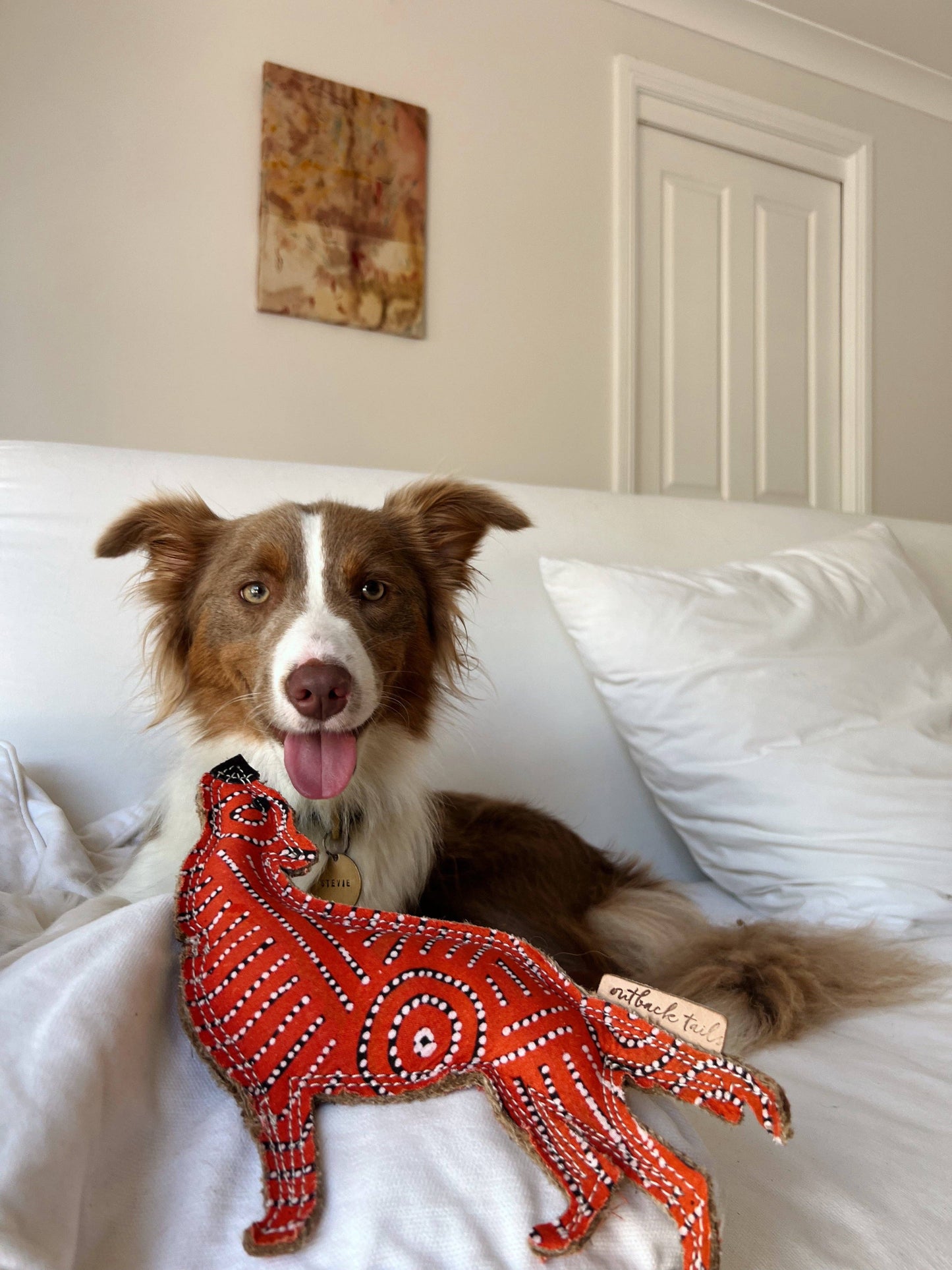 Desert Dog Chew Toy - Red Man