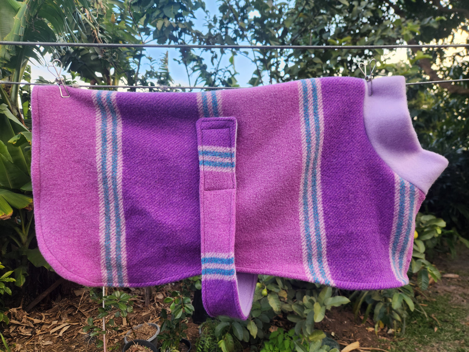 Dog coats