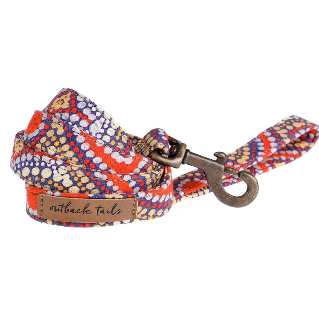 Harnesses, collars and leads