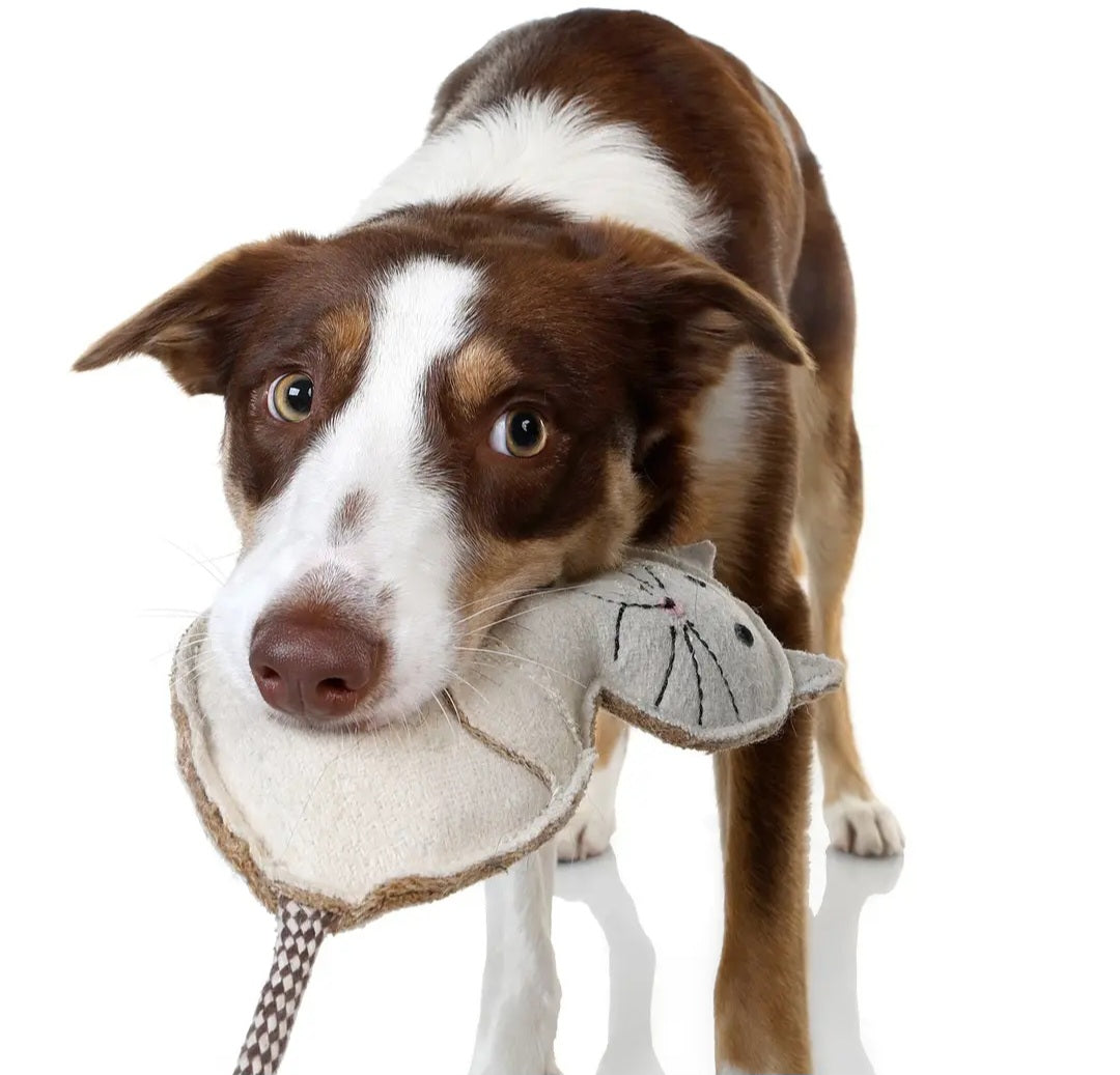Dog toys