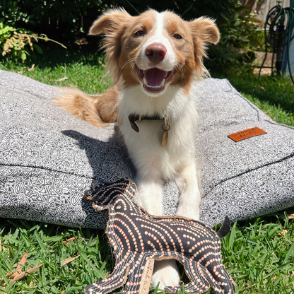 Desert Dog Chew Toy - Bob