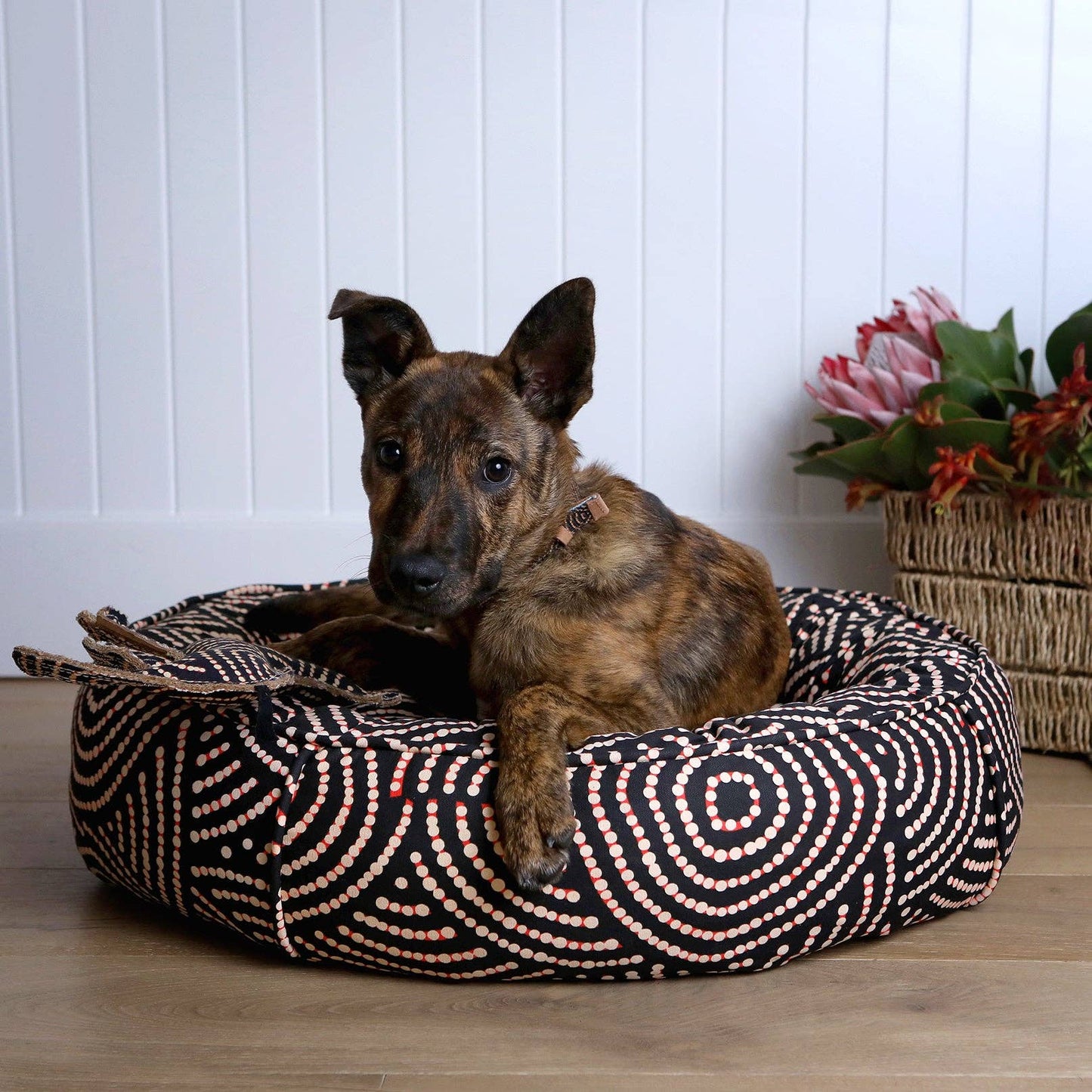 Desert Dog Chew Toy - Bob