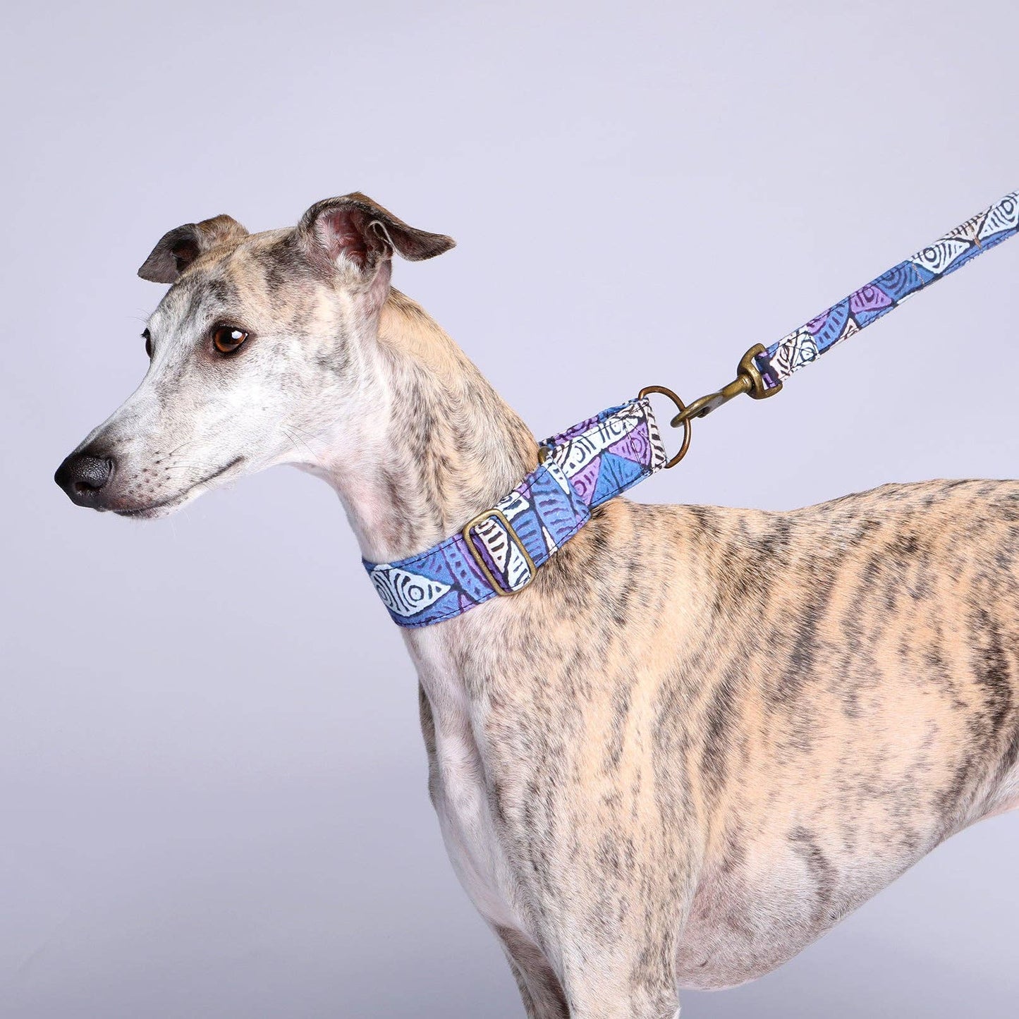 Martingale Collar - Sand Dunes: Medium (Whippets)
