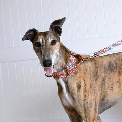 Vegan Canvas Dog Lead - Snake Dreaming