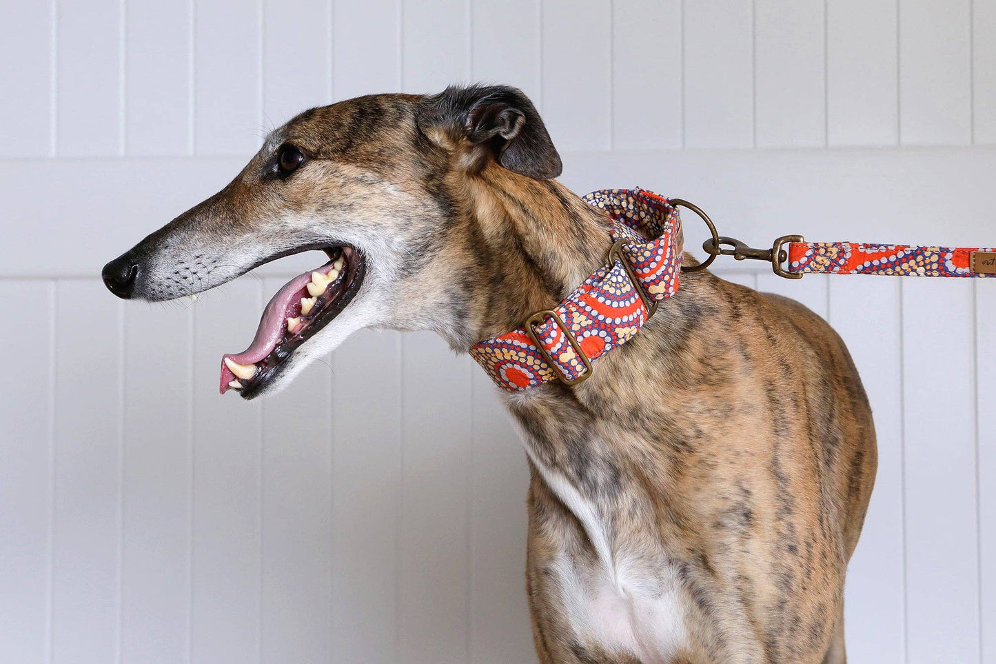 Martingale Collar - Snake Dreaming: Large (Greyhounds)