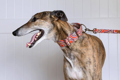 Martingale Collar - Water Dreaming: Medium (Whippets)