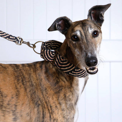 Martingale Collar - Ngama: Medium (Whippets)
