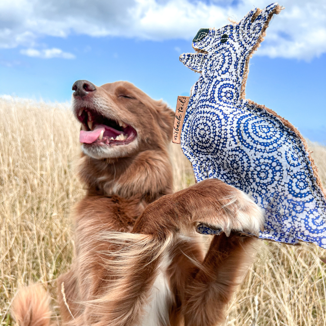 Desert Dog Chew Toy - Stinky