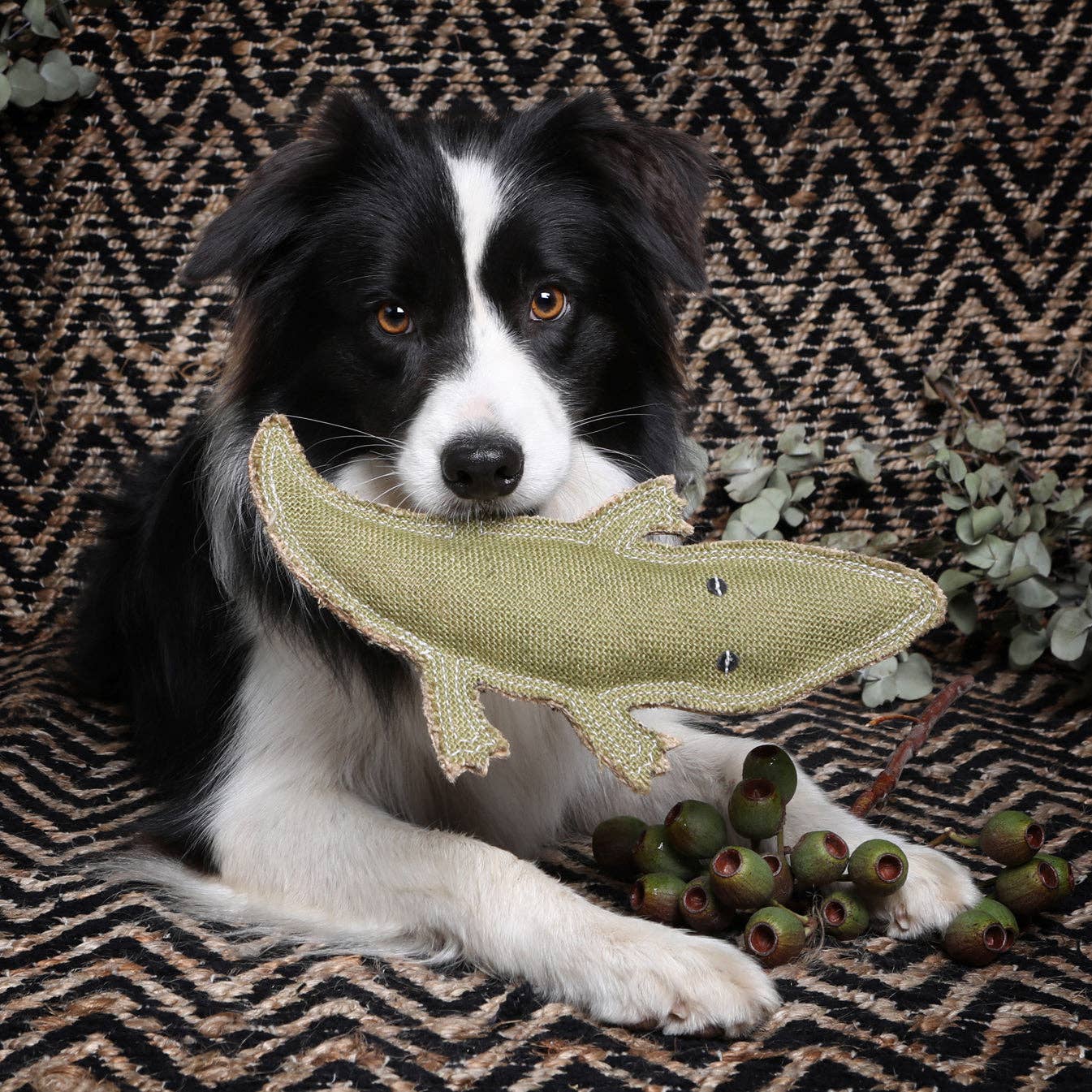 Outback Animal Toy - Steve the Crocodile: Suede