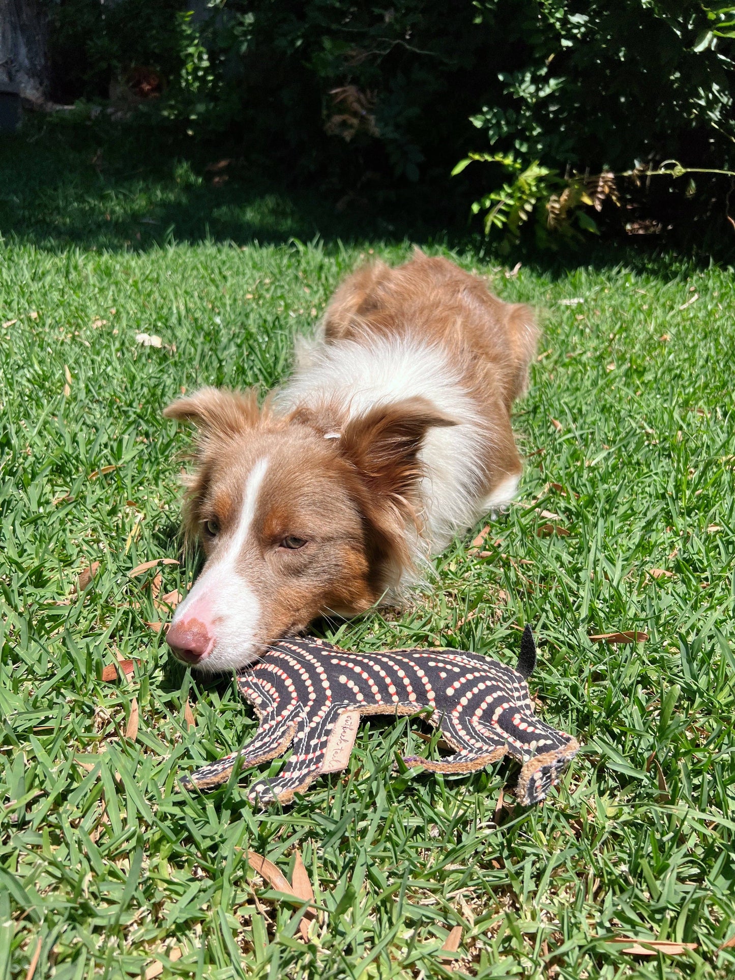 Desert Dog Chew Toy - Bob