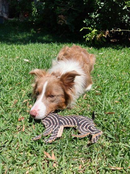 Desert Dog Chew Toy - Bob