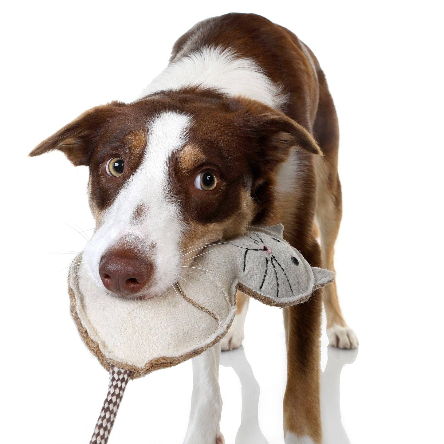 Country Tails Cat Chew Toy