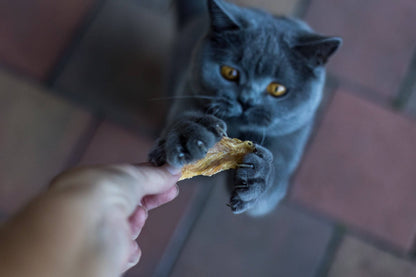 Chicken Breast Pieces Cat Treat: 80g