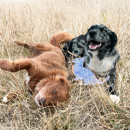 Desert Dog Chew Toy - Stinky